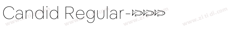 Candid Regular字体转换